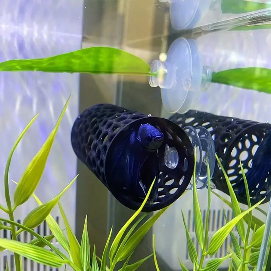 Aquarium-Fischversteck, schwar – Aquasoil Substrate Bewertung und Preis