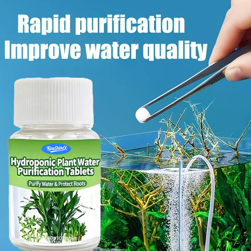 Hydroponische Wasserreinigungs – Aquarium Plant In Pot Bewertung und Preis