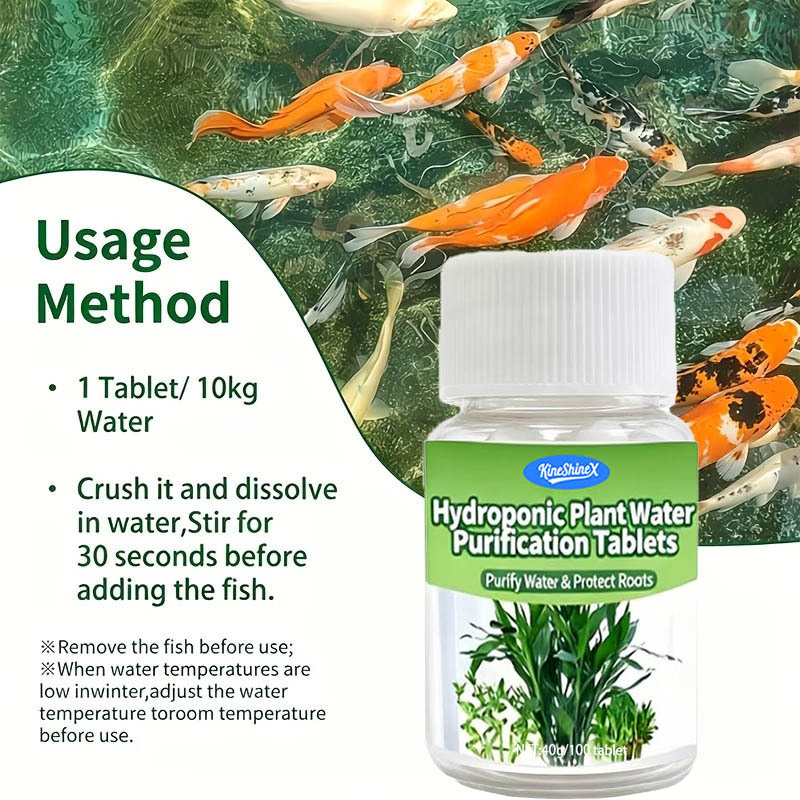 Hydroponische Wasserreinigungs – Aquarium Plant In Pot Bewertung und Preis