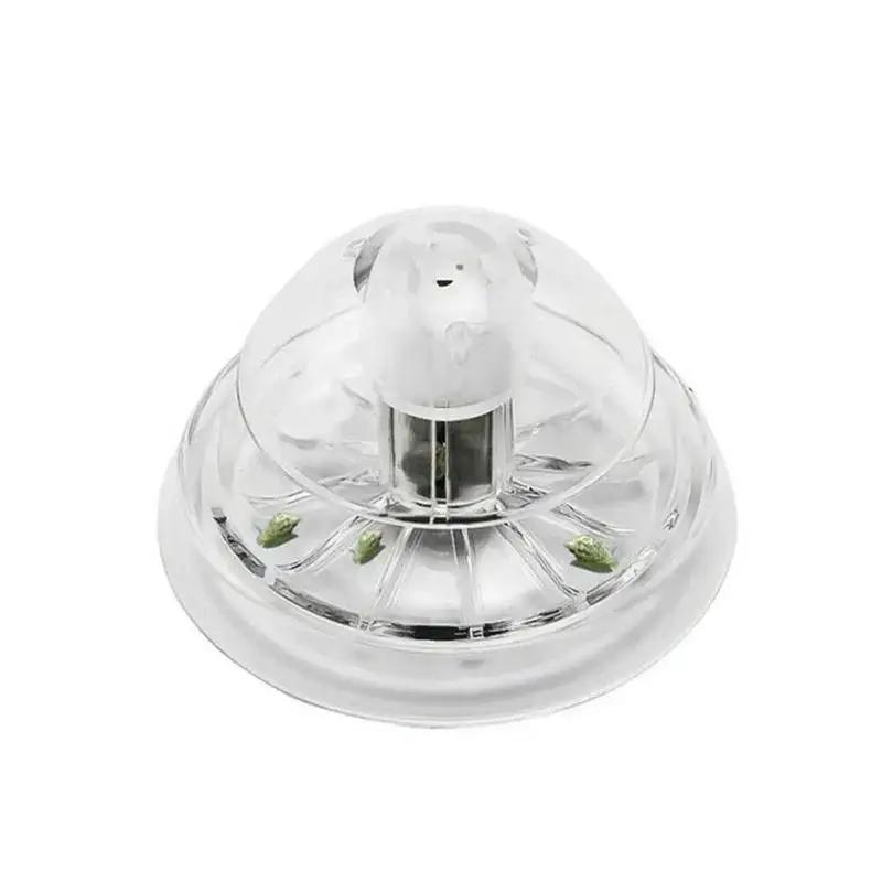 2026 Neu 6/8CM Klare Plastik-S – Aquarium Plant In Pot Bewertung und Preis