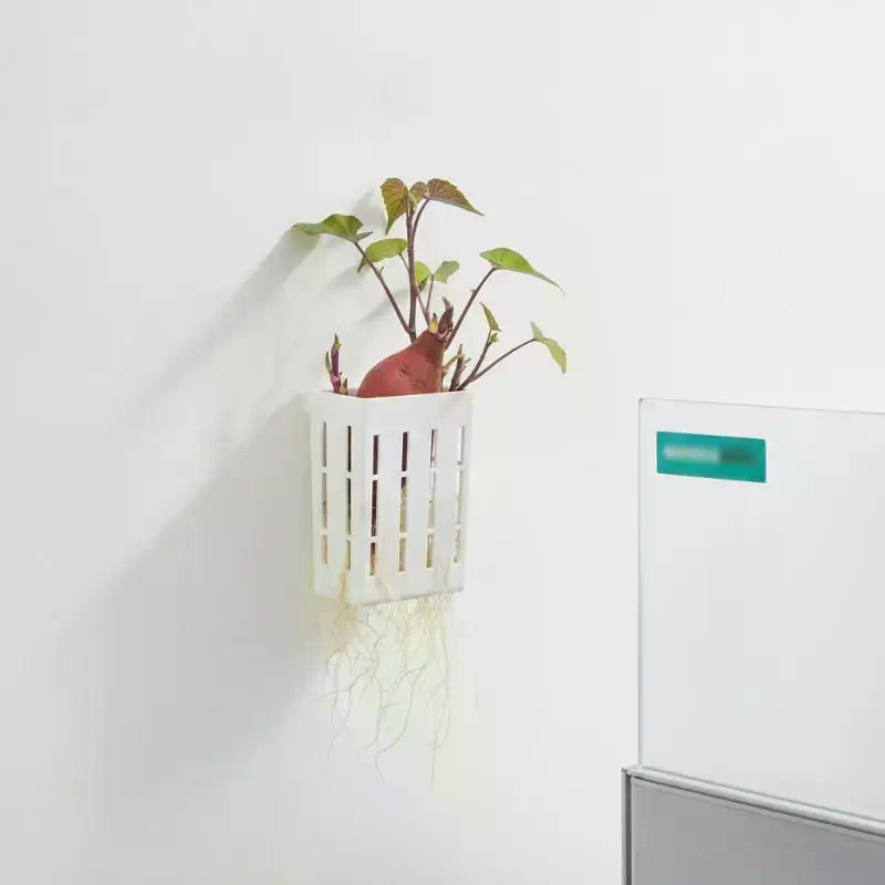 1 Stück Hydroponischer Stützko – Aquarium Plants Bewertung und Preis