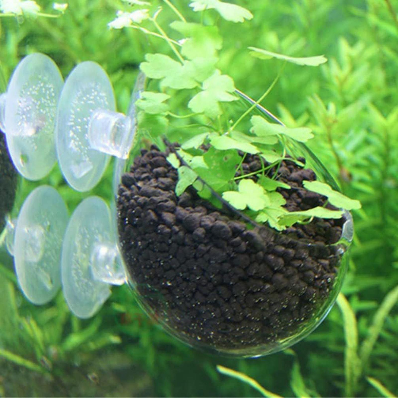 Aquarium-Pflanzenhalter Glas-W – Aquarium Plant Ornament Bewertung und Preis