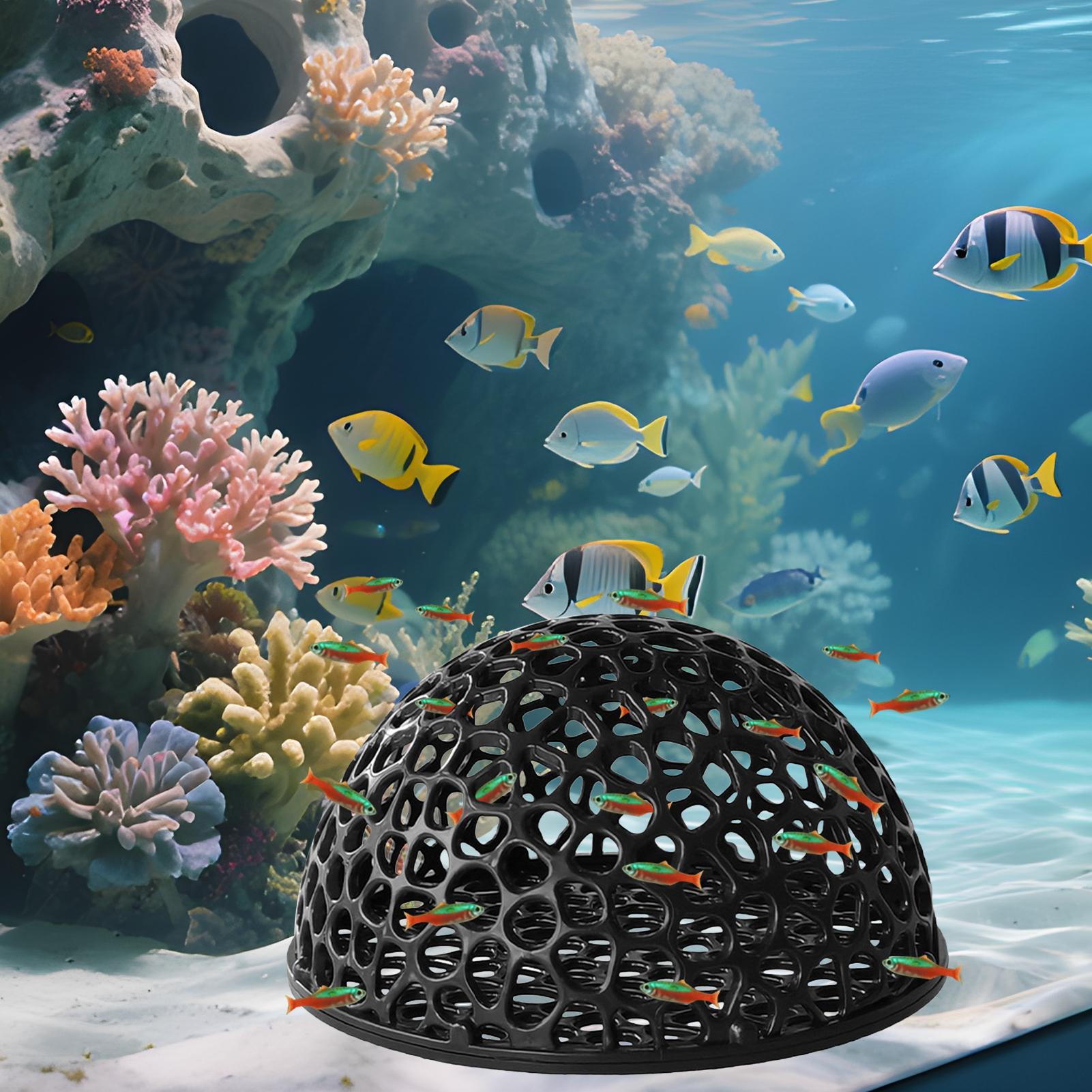 Aquarium-Hiden-Höhlenunterstan – Aquasoil Substrate Bewertung und Preis