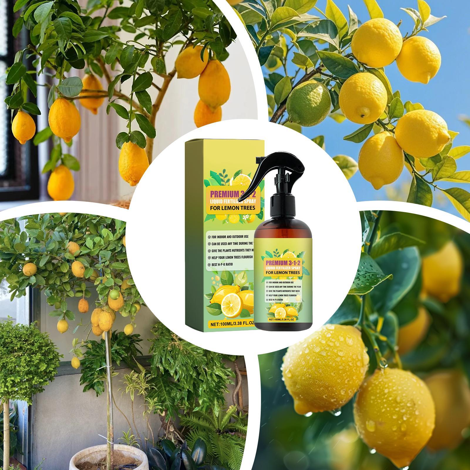 Konzentrierter Zitronenbaum-Nä – Liquid Fertilizer All In Bewertung und Preis