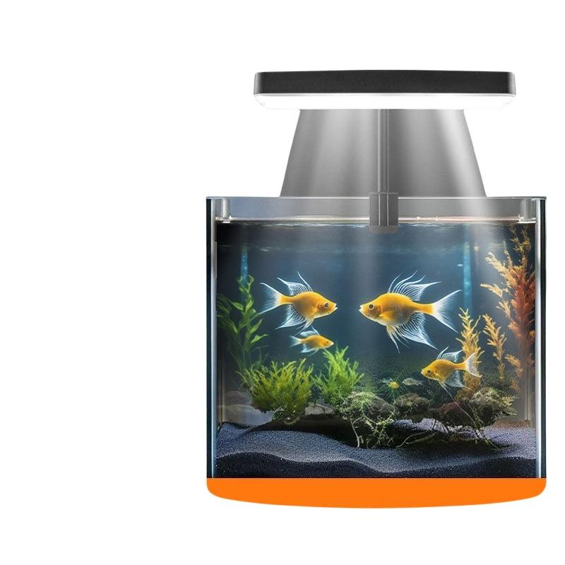 USB-Aquarium-Clipleuchte mit F – Aquarium Plants Bewertung und Preis