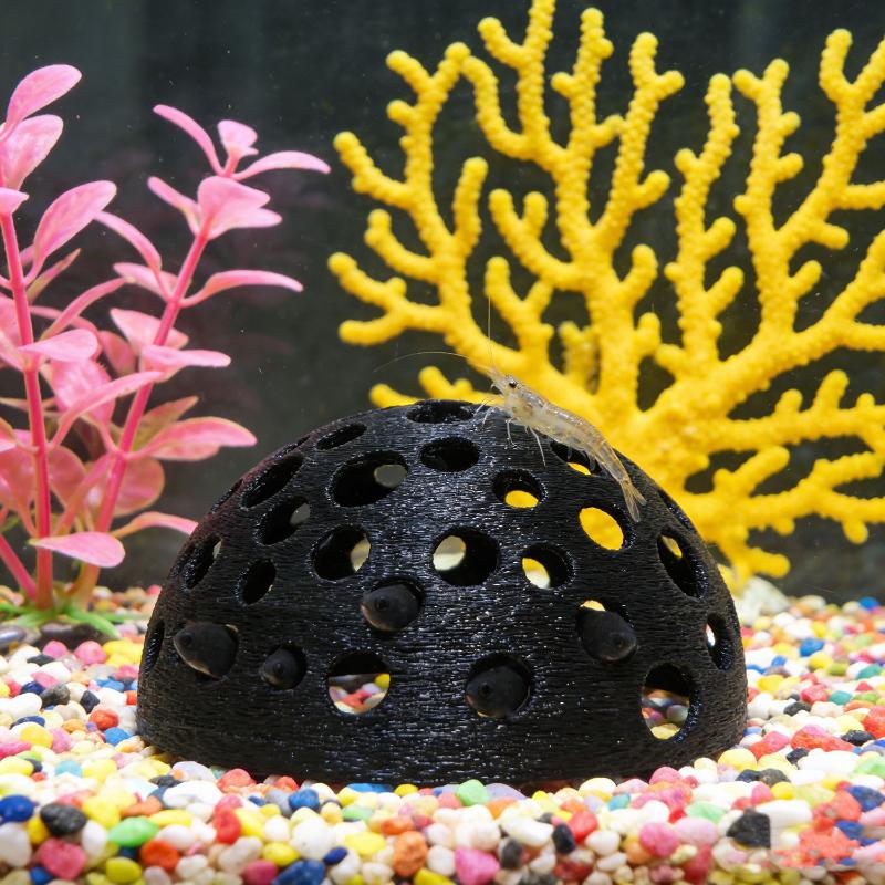 Versteckte Höhle für kleine Fi – Aquasoil Substrate Bewertung und Preis