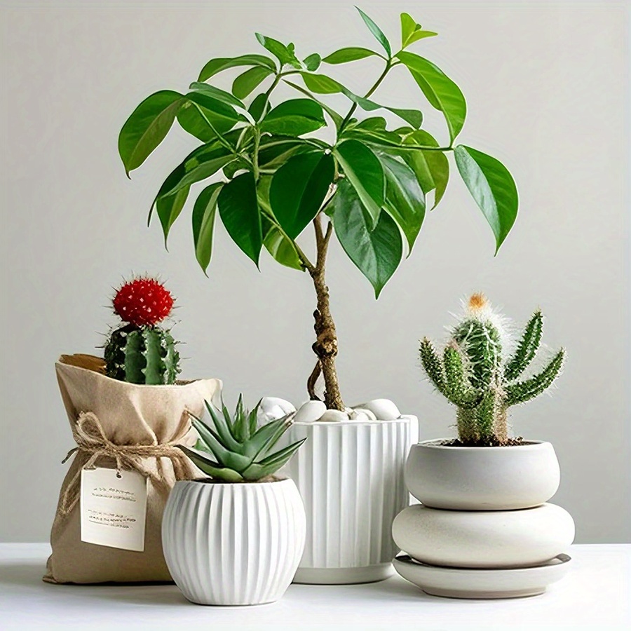200/400g weiße hochglanzpolier – Aquarium Plant In Pot Bewertung und Preis