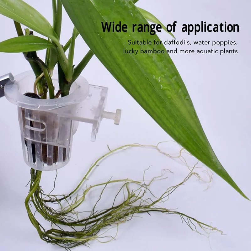Hängehalter für Wasserpflanzen – Aquasoil Substrate Bewertung und Preis