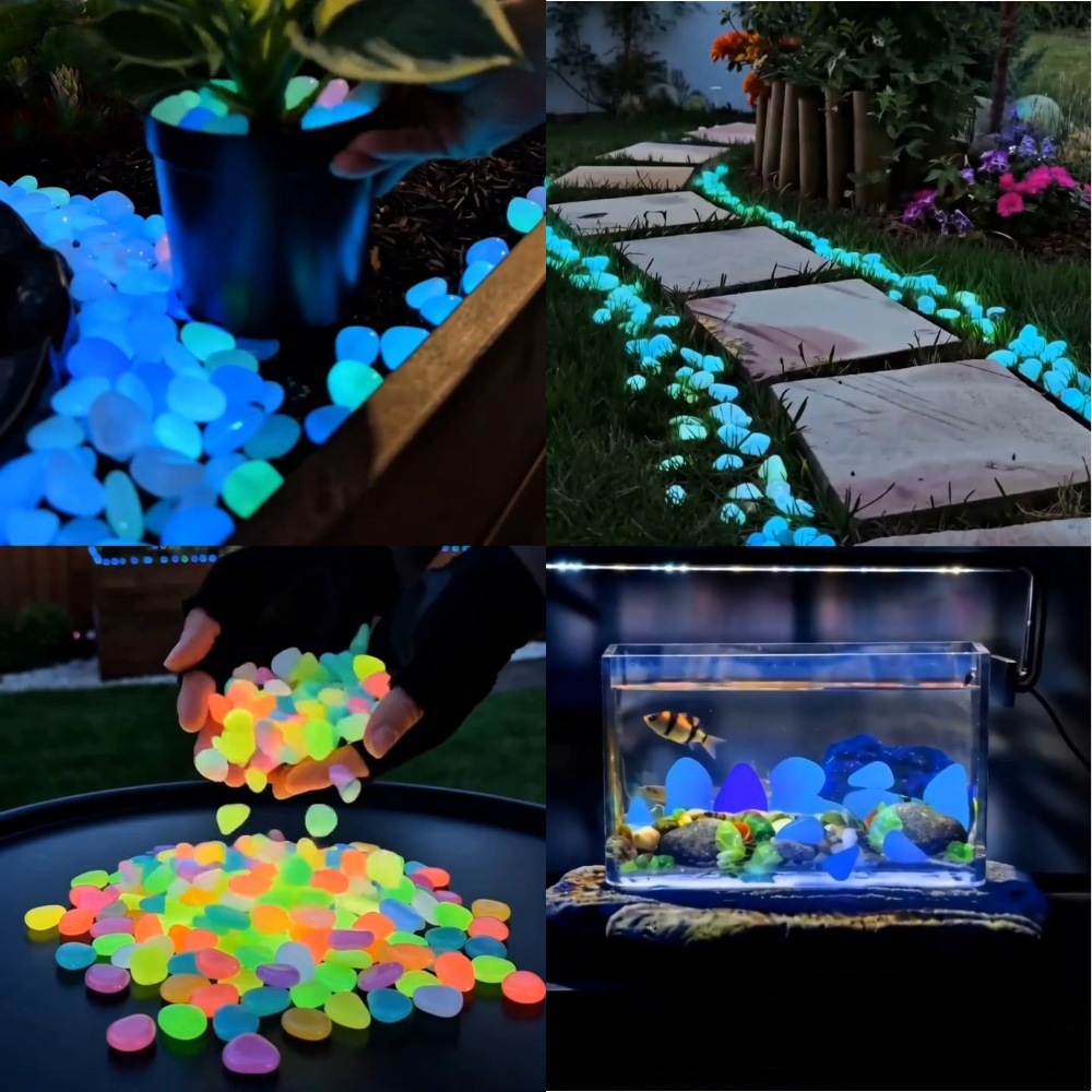 Bunte, im Dunkeln leuchtende K – Aquarium Plants Bewertung und Preis