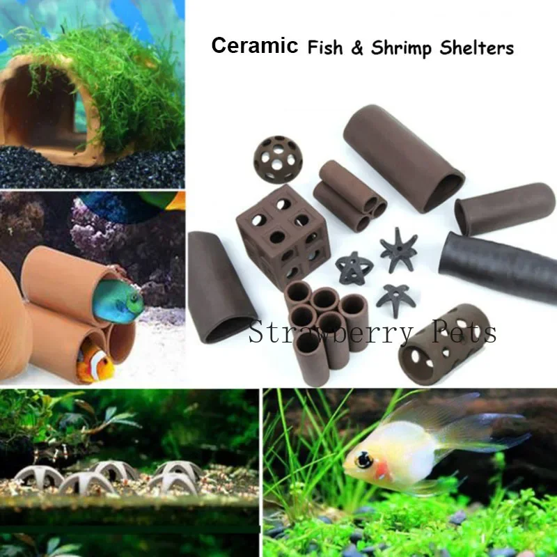 Keramik Aquarium Dekoration Fi – Aquasoil Substrate Bewertung und Preis