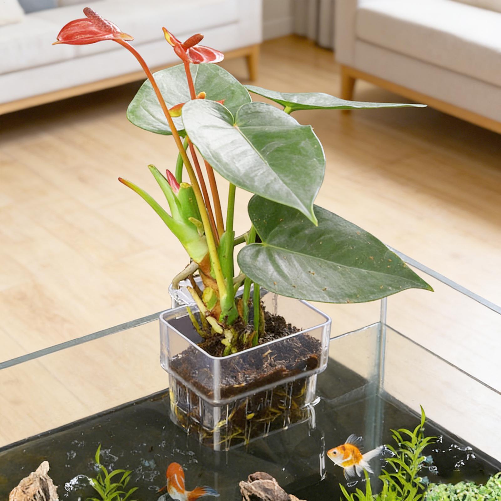 Transparenter Hängbarer Aquari – Aquasoil Substrate Bewertung und Preis