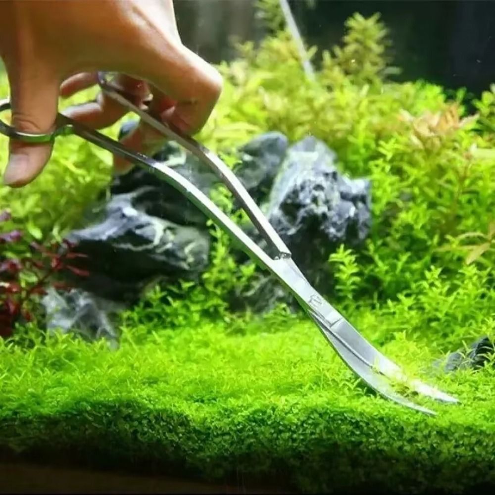 1 Stück Edelstahl-Aquariumsche – Aquasoil Substrate Bewertung und Preis
