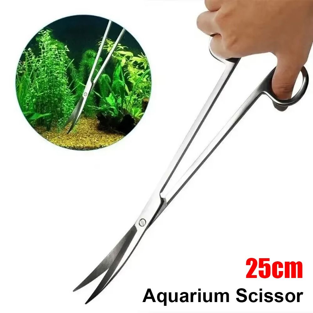 1 Stück Edelstahl-Aquariumsche – Aquasoil Substrate Bewertung und Preis