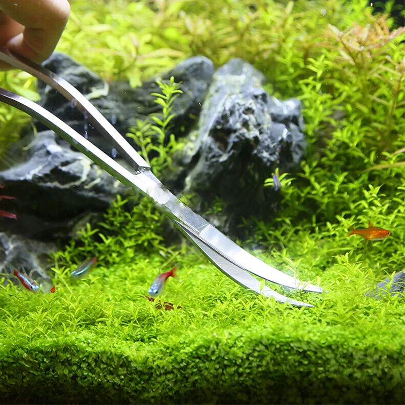 Aquarium Schere Werkzeuge Aqua – Aquasoil Substrate Bewertung und Preis