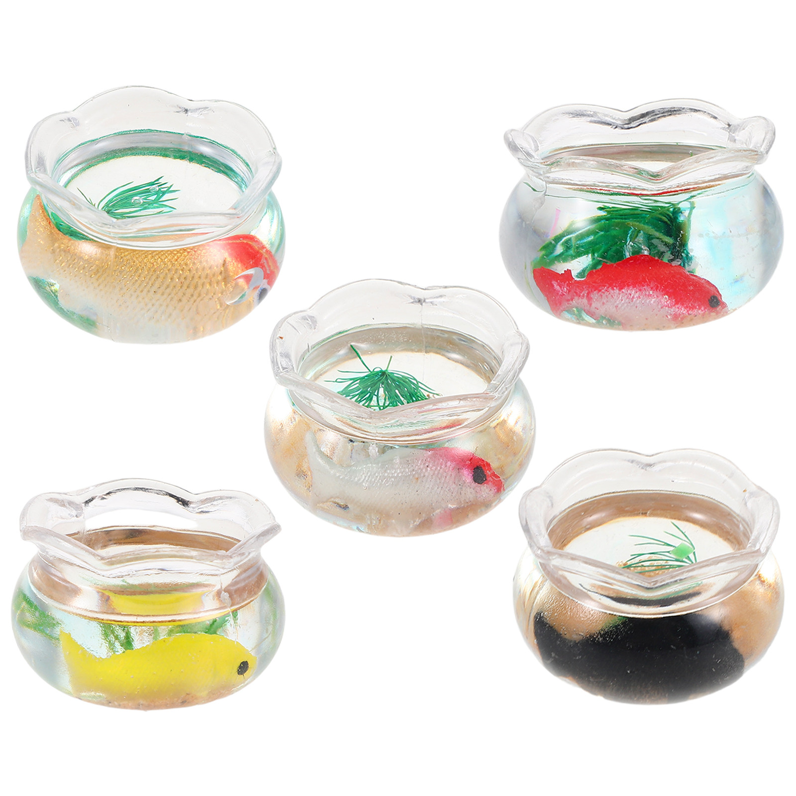 5 Stück Mini-Fischbecken, klei – Aquarium Plants Bewertung und Preis
