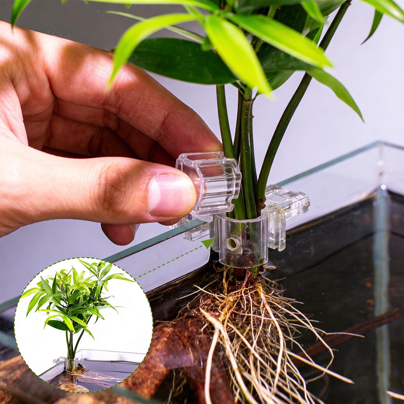 6 Stück Aquarium-Pflanzenhalte – Aquarium Plant Ornament Bewertung und Preis