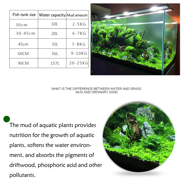 Aquarium Pflanzen Samen Boden  – Aquasoil Substrate Bewertung und Preis