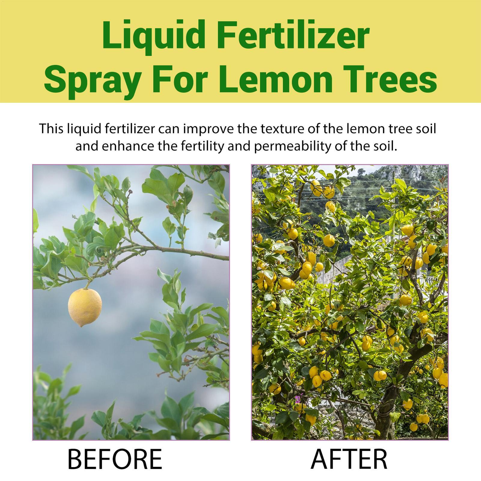 100ml Organischer Flüssigdünge – Liquid Fertilizer All In Bewertung und Preis