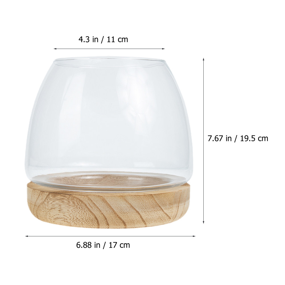 1 Set, durchsichtiges Glas-Ter – Aquarium Plants Bewertung und Preis