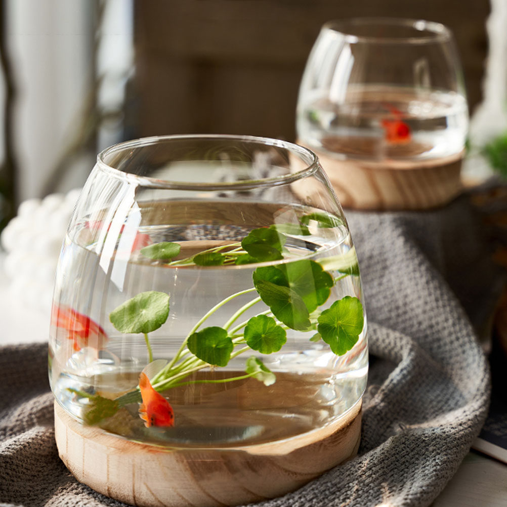 1 Set, durchsichtiges Glas-Ter – Aquarium Plants Bewertung und Preis