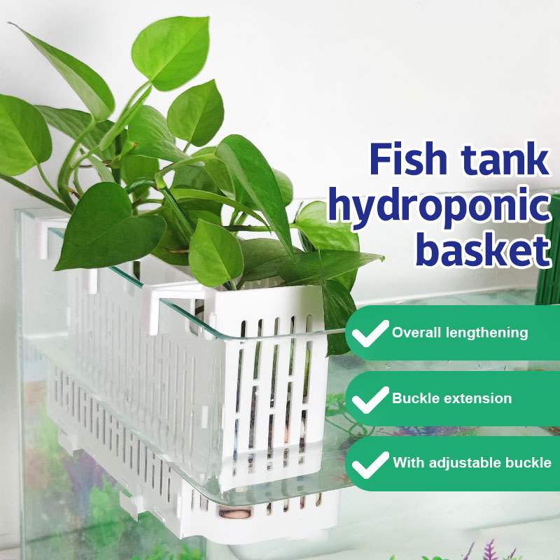 【F】Aquarium-Hängepflanzgefäß,  – Aquarium Plant In Pot Bewertung und Preis
