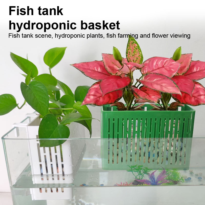 【F】Aquarium-Hängepflanzgefäß,  – Aquarium Plant In Pot Bewertung und Preis