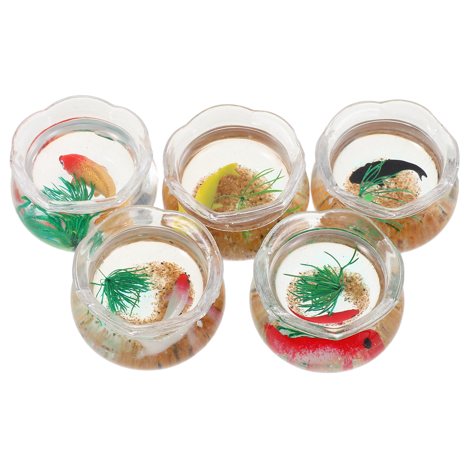 5 Stück Mini-Fischbecken, real – Aquarium Plant Original Bewertung und Preis